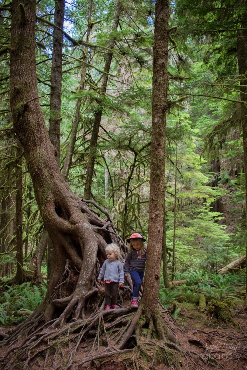 Northern Olympic Peninsula with Kids (14)