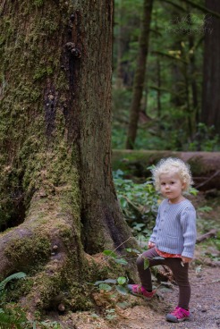 Northern Olympic Peninsula with Kids (5)