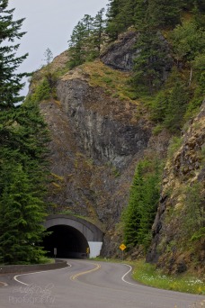 Cool tunnel we drove through
