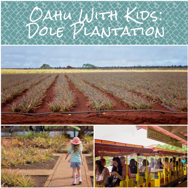 oahu with kids dole plantation